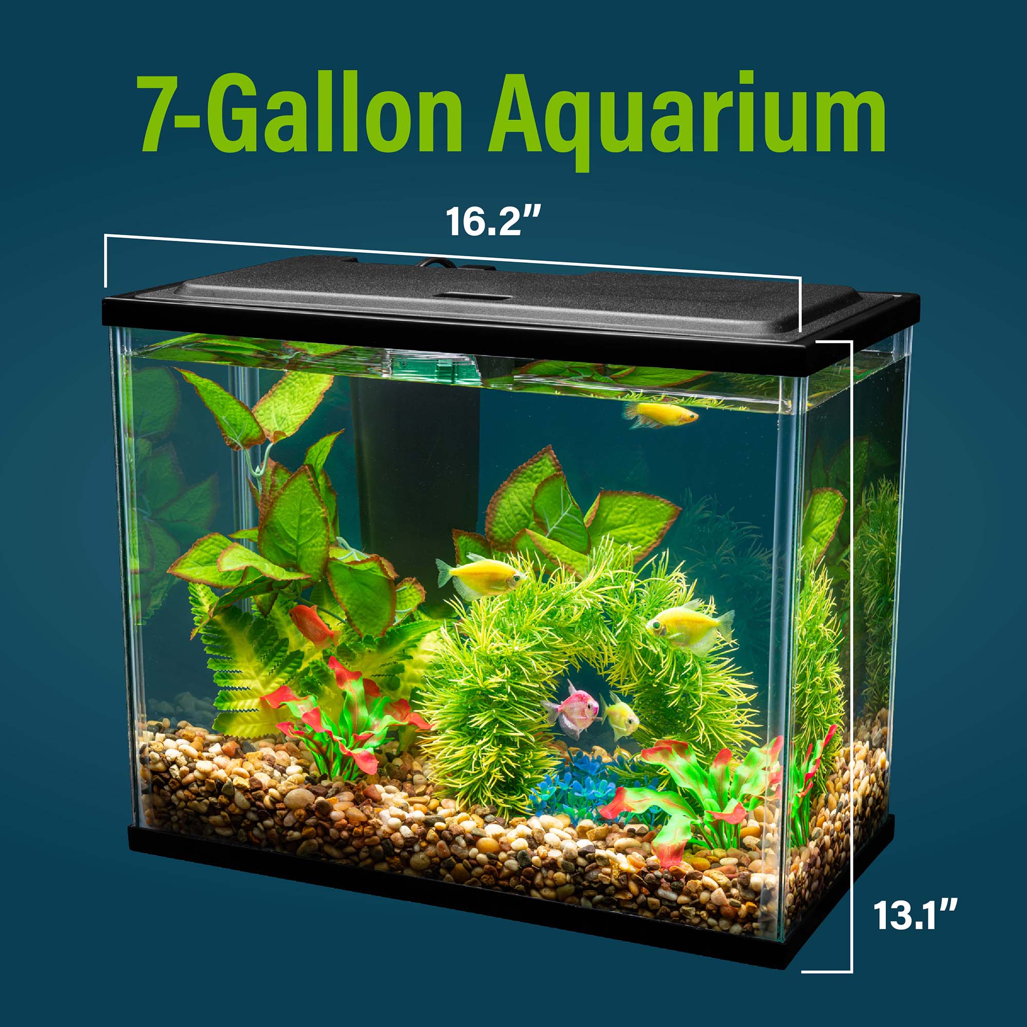 7 gallon shop fish tank